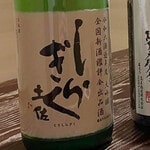 土佐 しらぎく